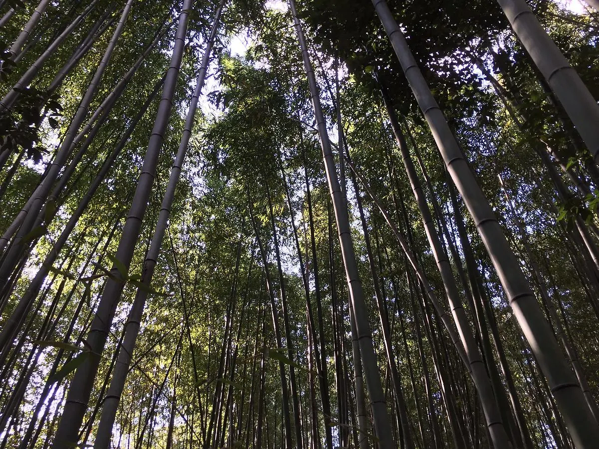 Petit Hotel Alla Seta Kyoto 0*,  Japan